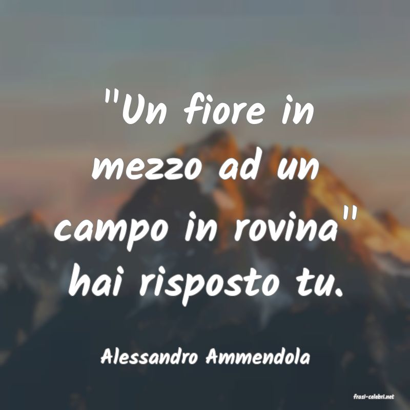 frasi di  Alessandro Ammendola
