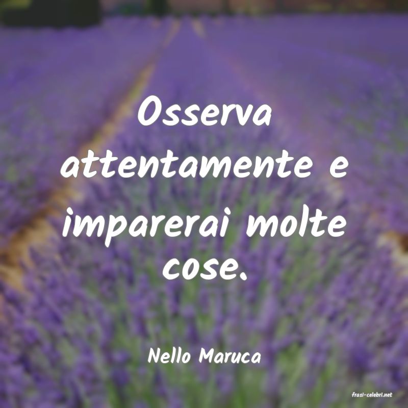 frasi di  Nello Maruca

