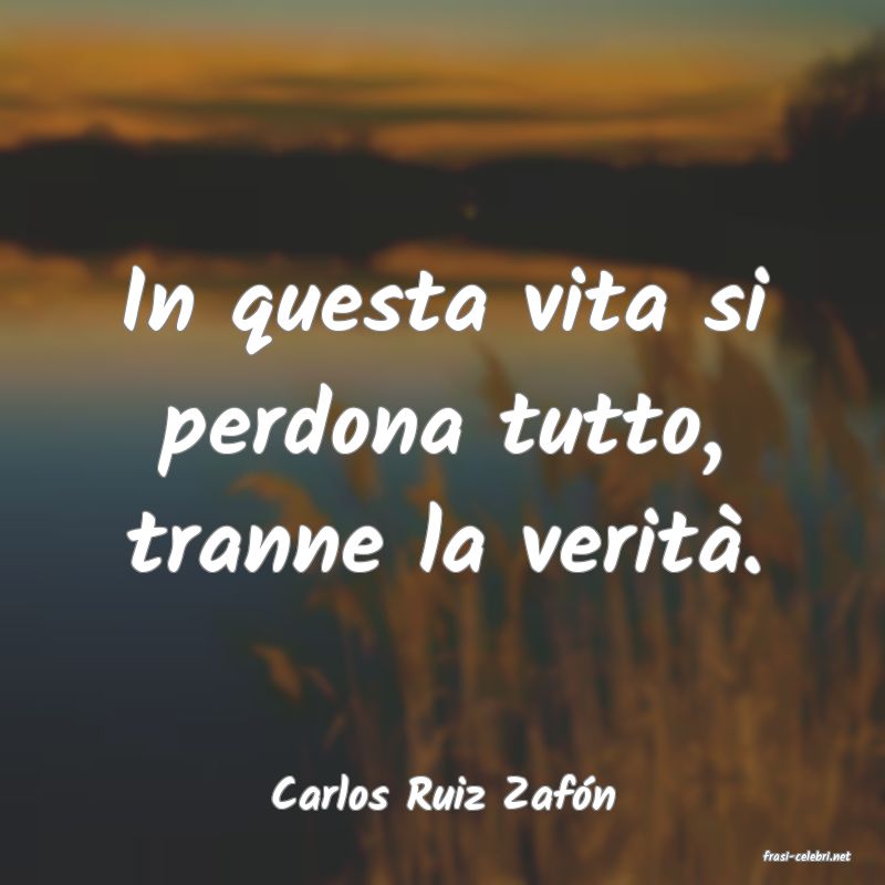 frasi di Carlos Ruiz Zafn