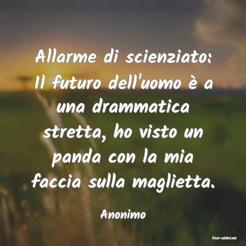 frasi di  Anonimo
