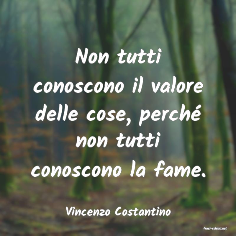 frasi di Vincenzo Costantino