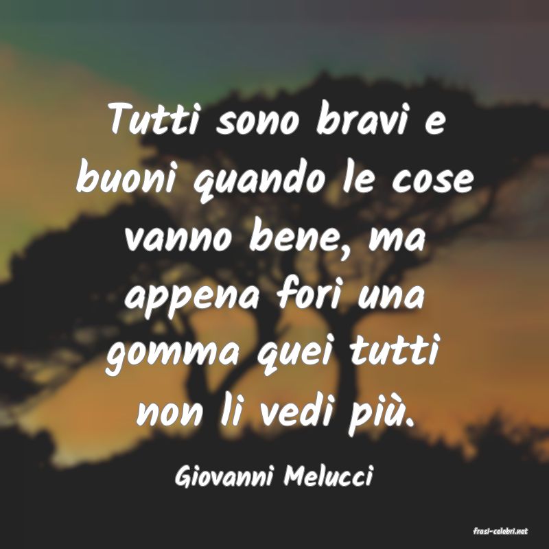 frasi di  Giovanni Melucci
