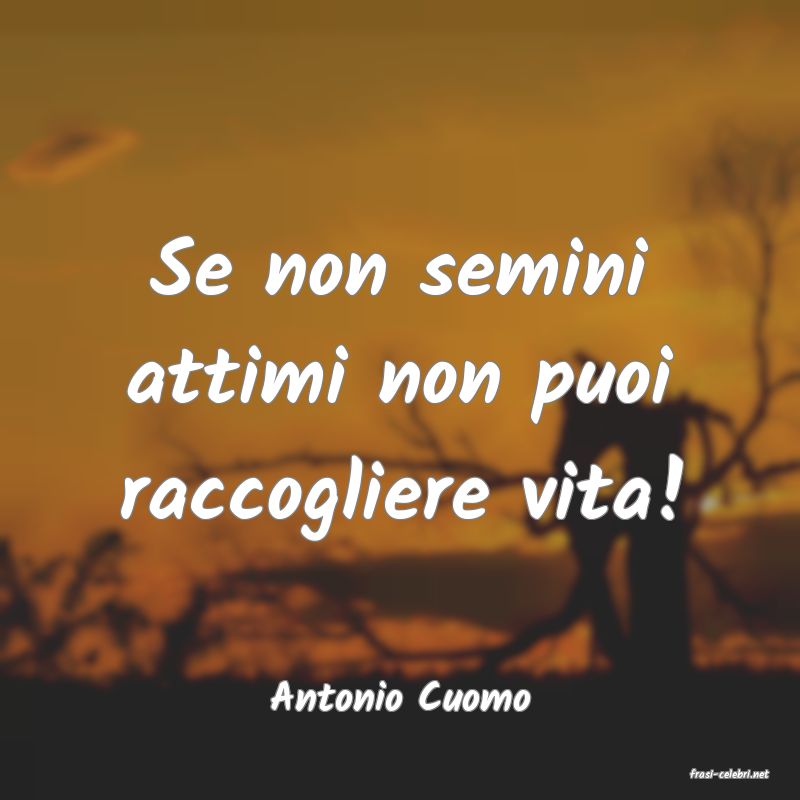 frasi di  Antonio Cuomo
