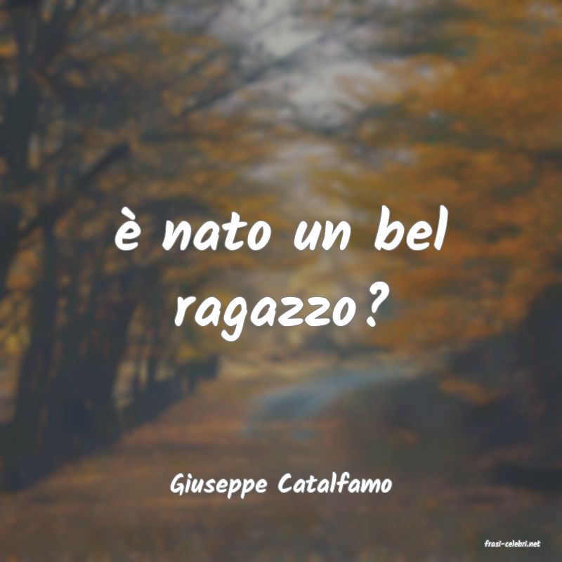 frasi di  Giuseppe Catalfamo
