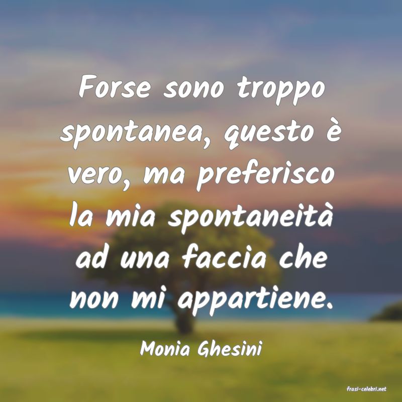 frasi di  Monia Ghesini
