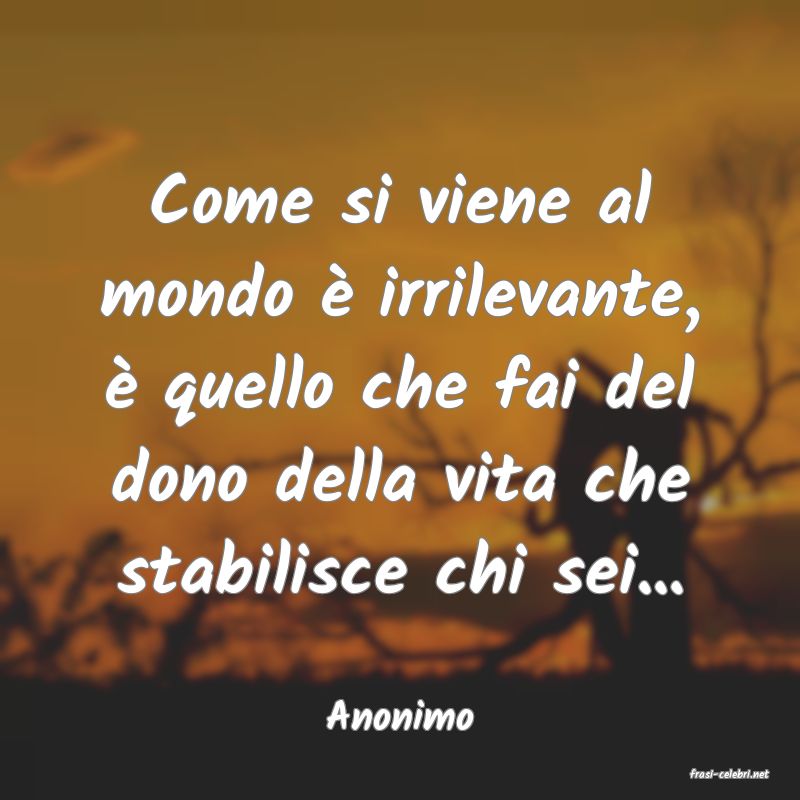 frasi di Anonimo