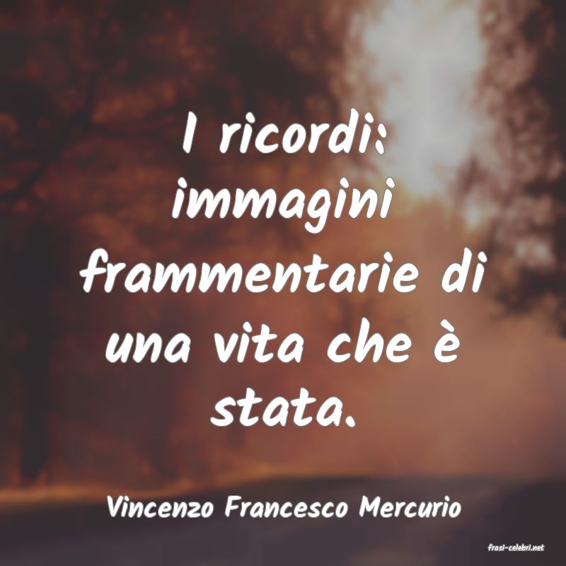 frasi di Vincenzo Francesco Mercurio