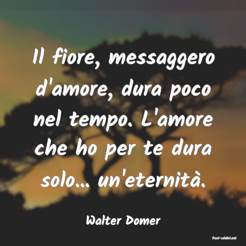 frasi di Walter Domer