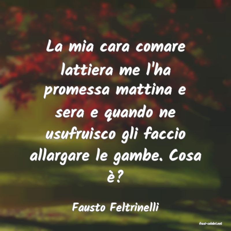 frasi di Fausto Feltrinelli