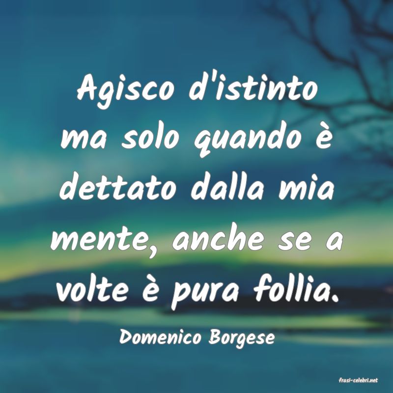 frasi di  Domenico Borgese
