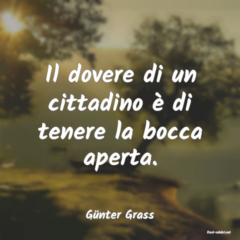 frasi di Gnter Grass