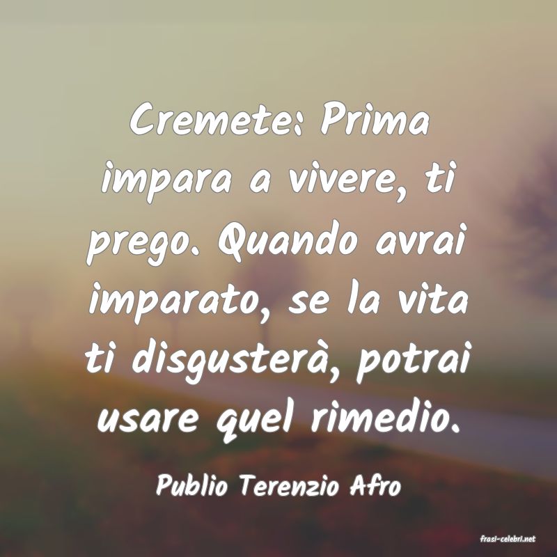 frasi di  Publio Terenzio Afro
