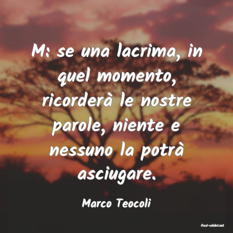 frasi di  Marco Teocoli
