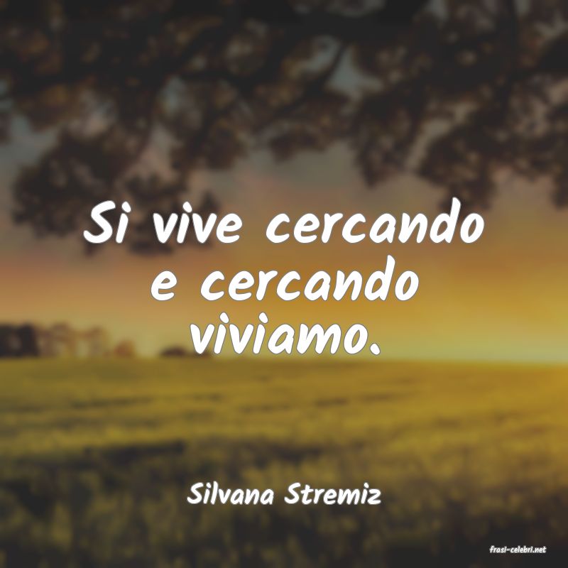frasi di  Silvana Stremiz
