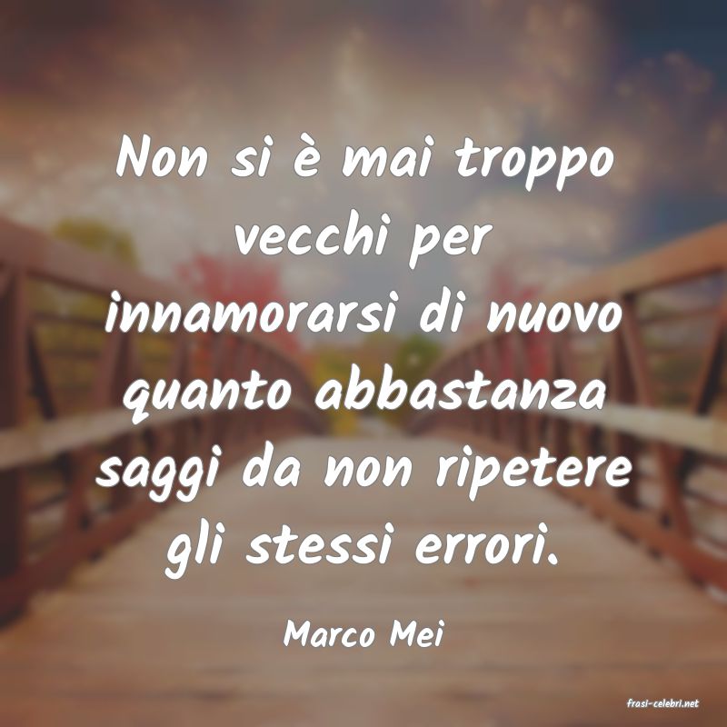 frasi di  Marco Mei
