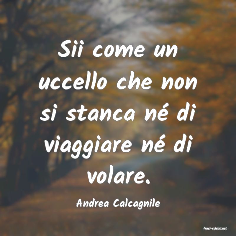 frasi di  Andrea Calcagnile
