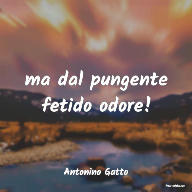 frasi di Antonino Gatto