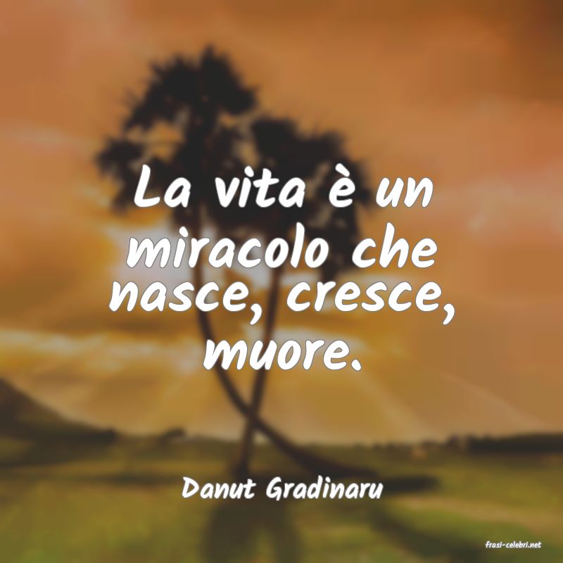 frasi di  Danut Gradinaru
