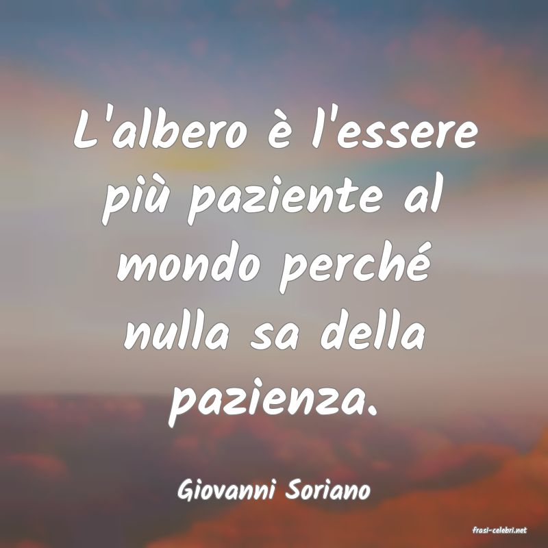 frasi di Giovanni Soriano