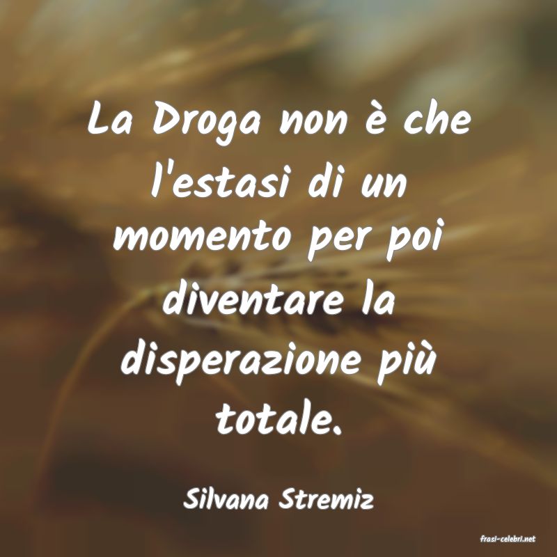frasi di Silvana Stremiz