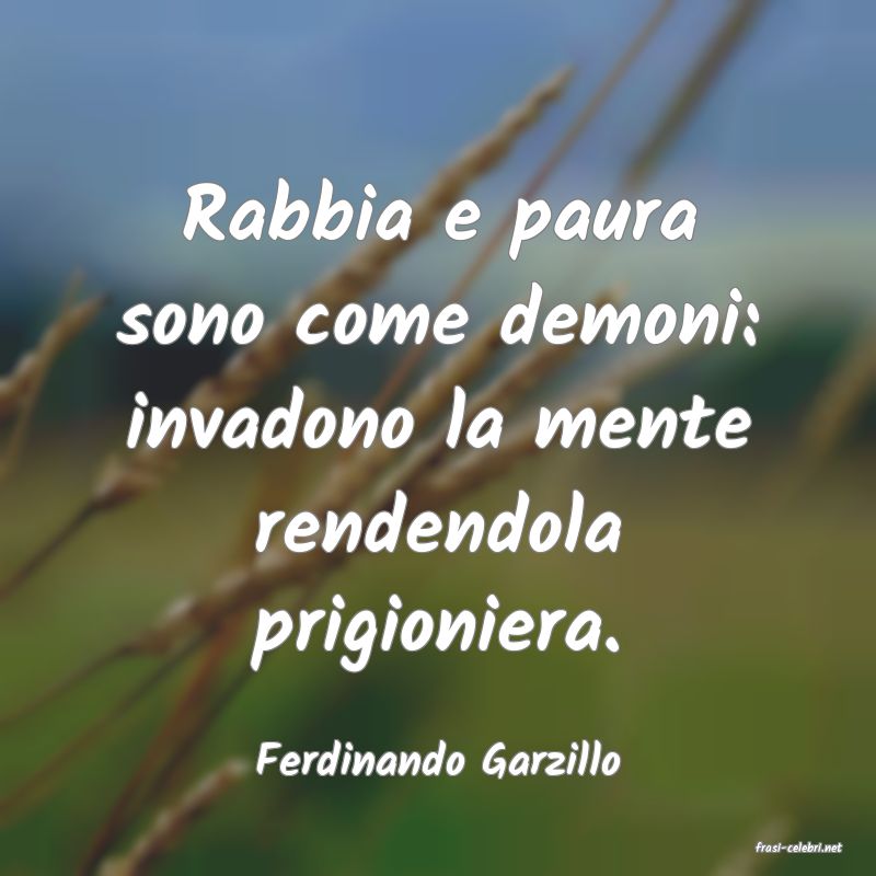 frasi di  Ferdinando Garzillo
