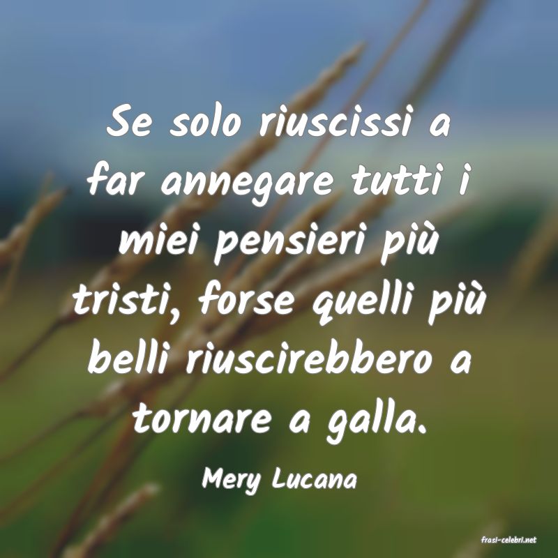 frasi di  Mery Lucana
