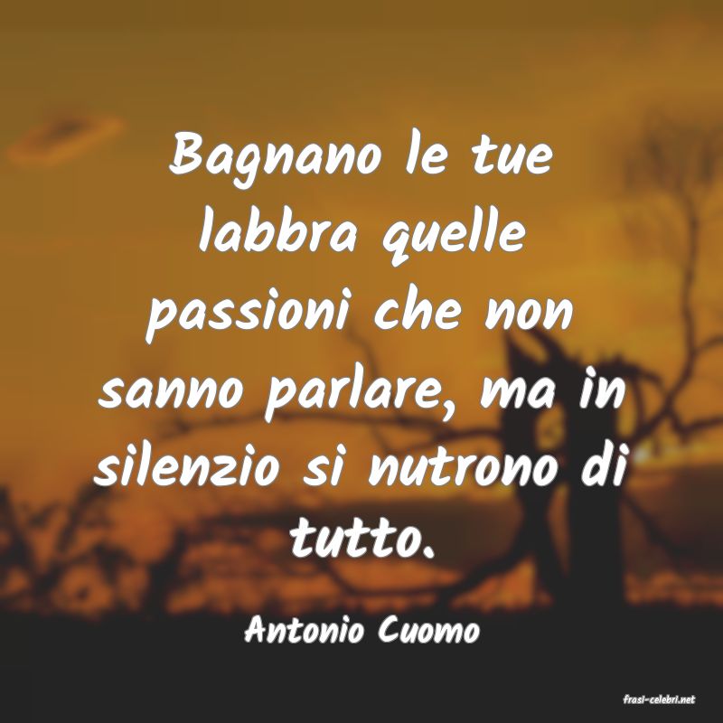 frasi di  Antonio Cuomo
