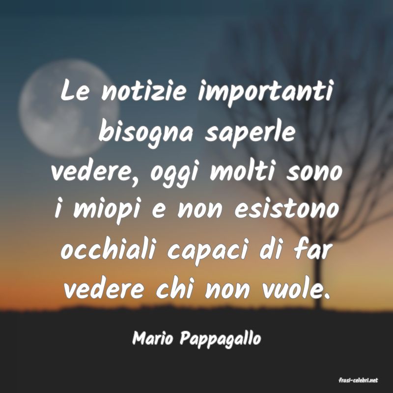 frasi di  Mario Pappagallo
