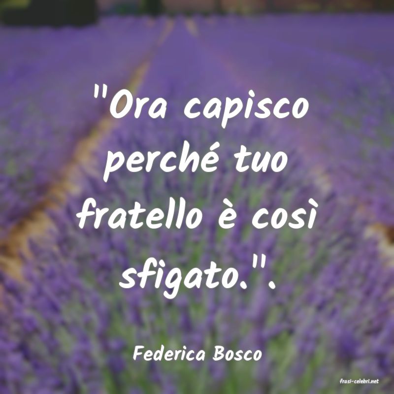 frasi di Federica Bosco