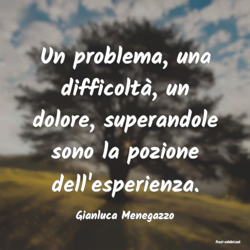 frasi di  Gianluca Menegazzo
