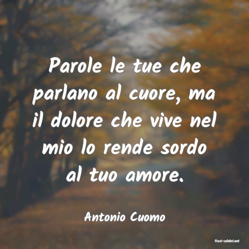 frasi di  Antonio Cuomo
