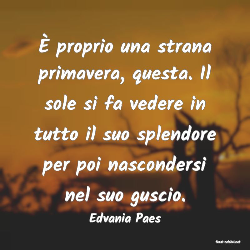 frasi di  Edvania Paes
