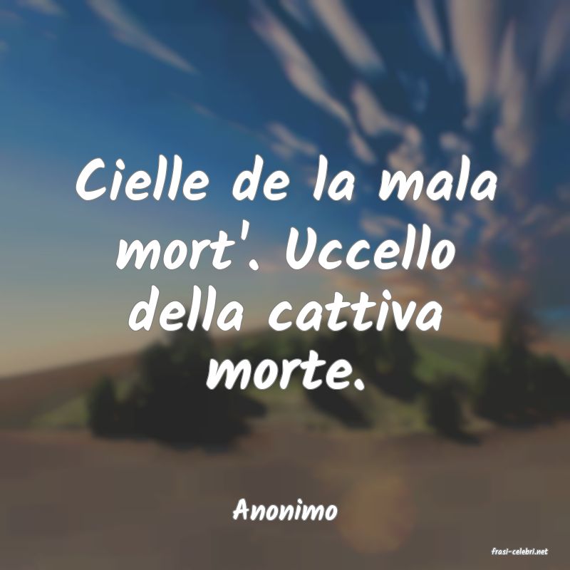 frasi di Anonimo