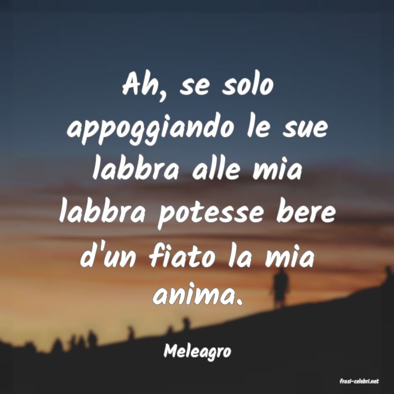 frasi di Meleagro