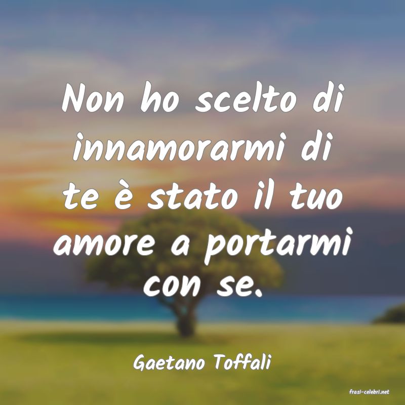frasi di Gaetano Toffali