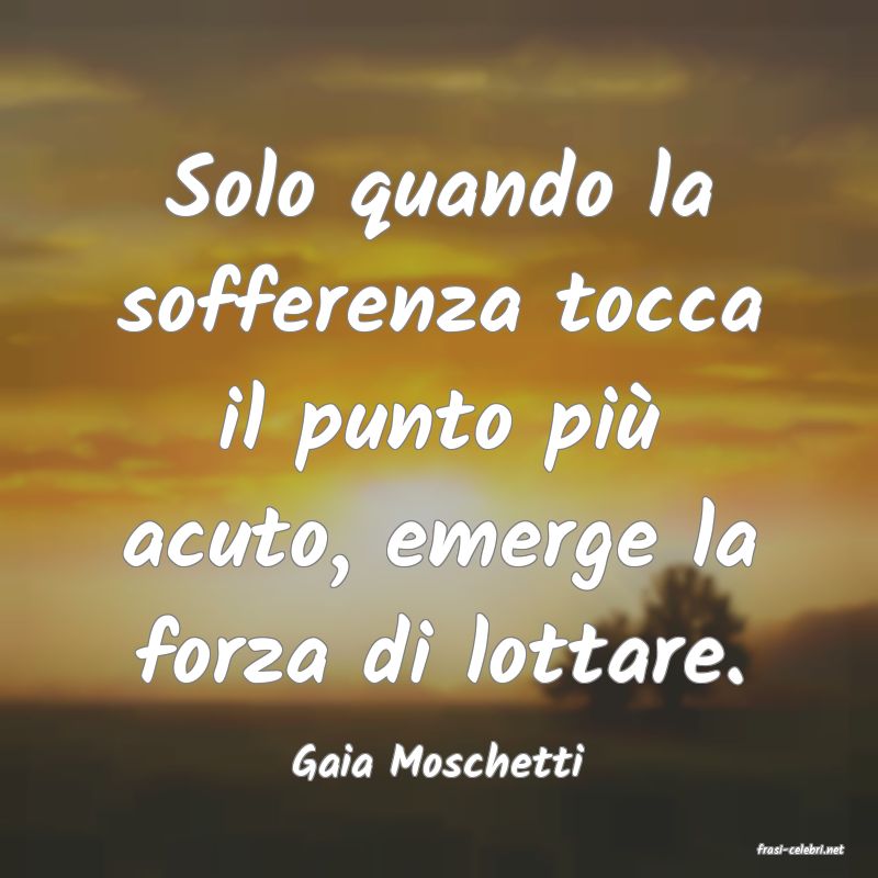 frasi di  Gaia Moschetti
