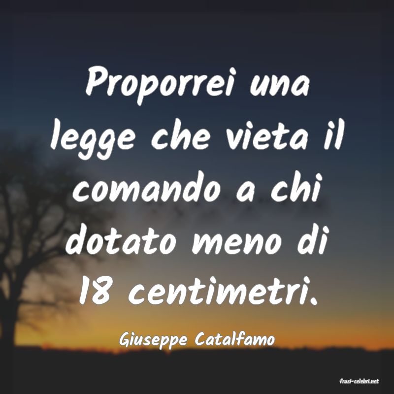 frasi di  Giuseppe Catalfamo
