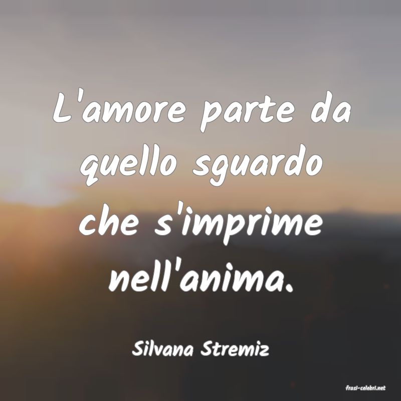frasi di  Silvana Stremiz

