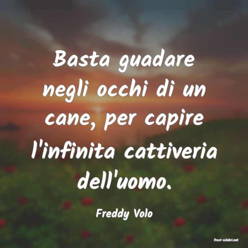 frasi di  Freddy Volo
