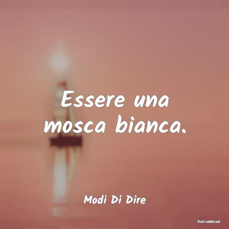 frasi di  Modi Di Dire
