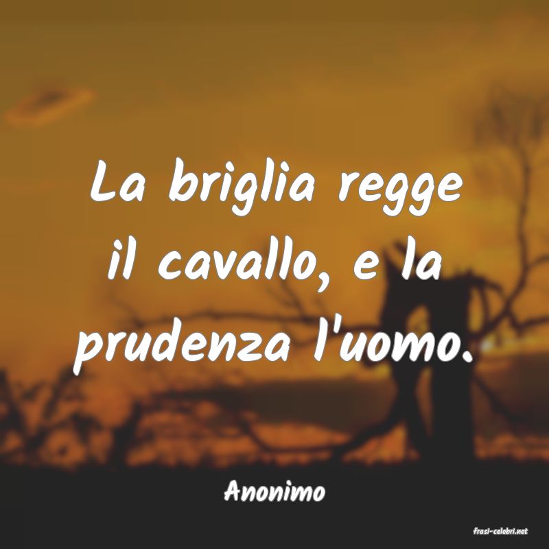 frasi di Anonimo