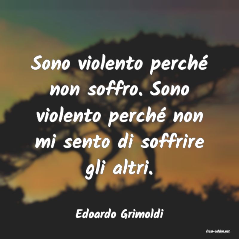 frasi di Edoardo Grimoldi
