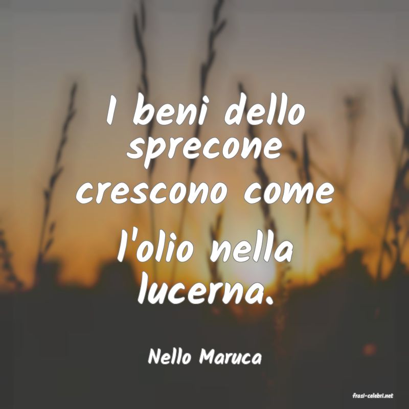 frasi di  Nello Maruca
