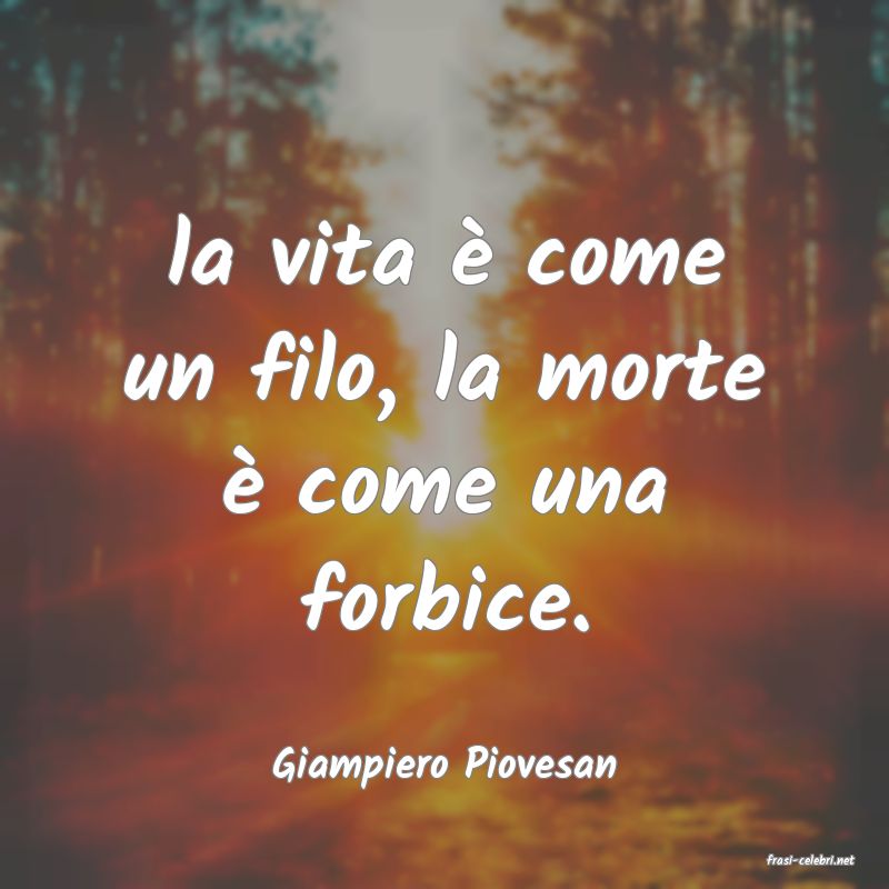 frasi di  Giampiero Piovesan
