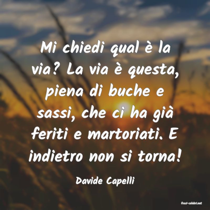 frasi di  Davide Capelli

