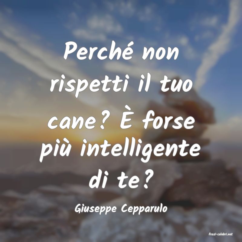 frasi di  Giuseppe Cepparulo
