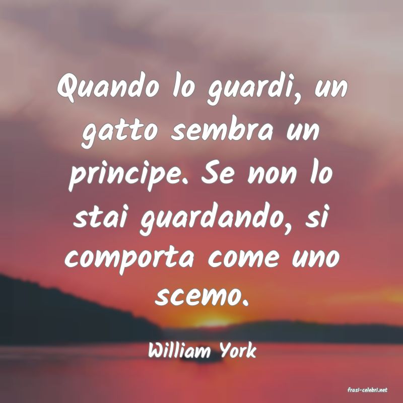 frasi di  William York
