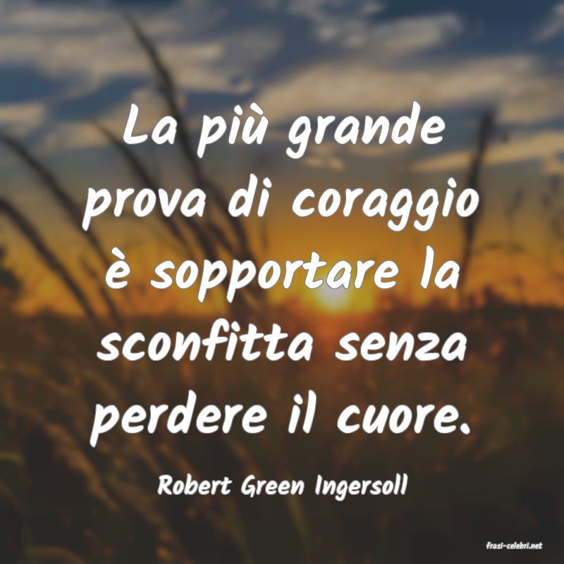 frasi di  Robert Green Ingersoll
