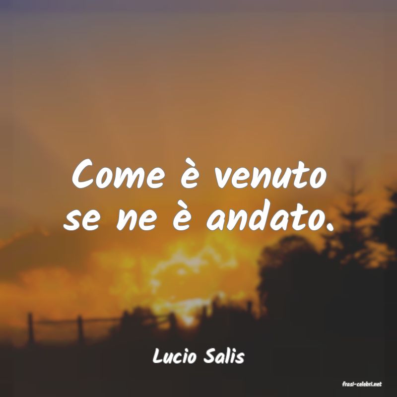 frasi di Lucio Salis