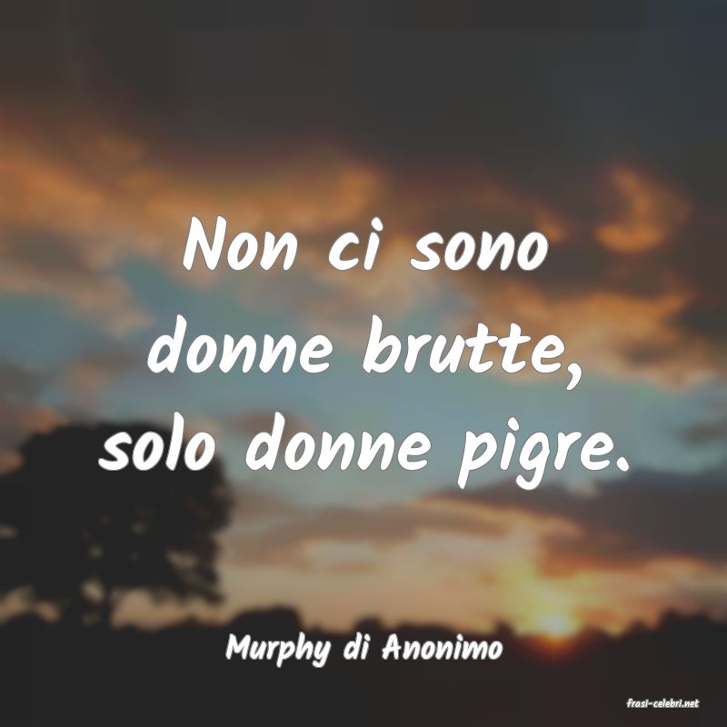 frasi di Murphy di Anonimo